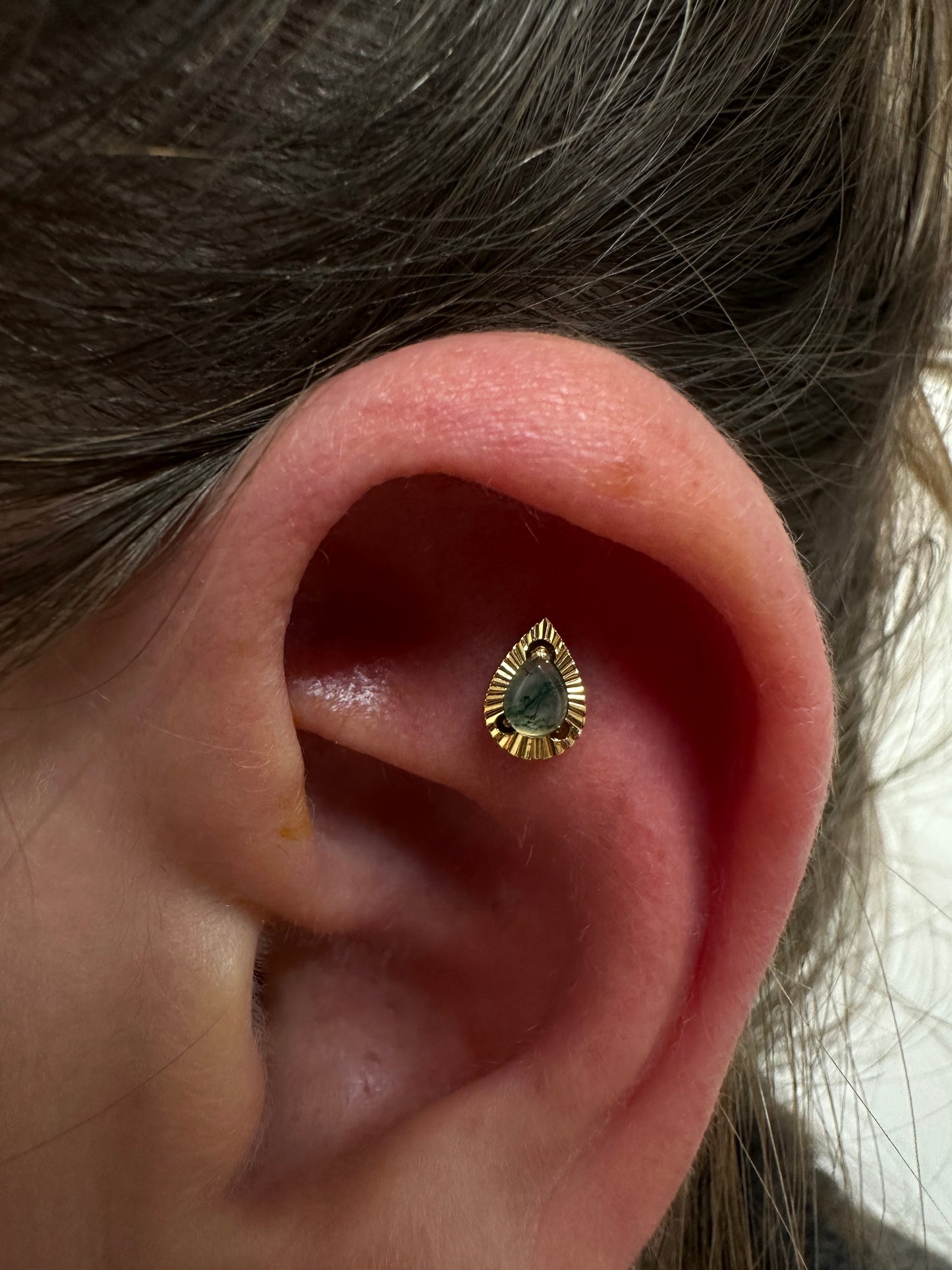 Achlys pierre naturelle