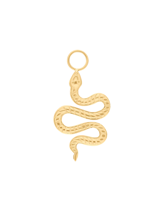 Charms / pendentif serpent